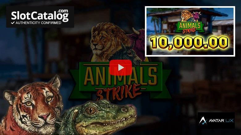 Слот Animals Strike Big Win Декабрь 2024