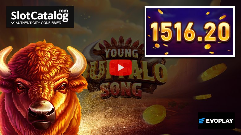 Песня Young Buffalo Song "Big Win" выйдет в июне 2026 года.