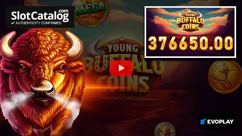 Игровой автомат Young Buffalo Coins "Big Win" (май 2026 г.)