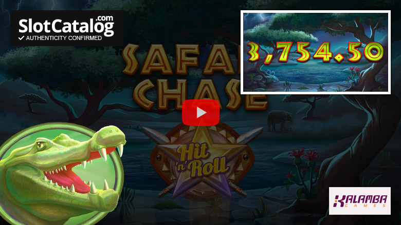 Слот Safari Chase Hit 'n' Roll Big Win, август 2022 г.