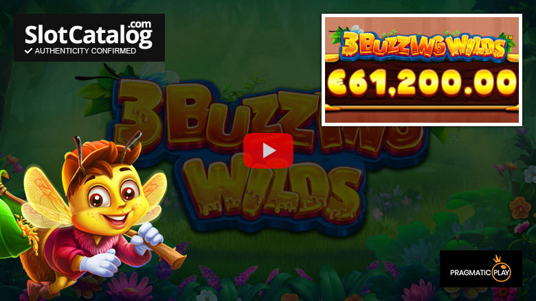 3 Слот Buzzing Wilds, крупный выигрыш, июль 2023 г.