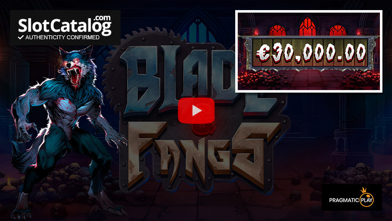 Слот Blade & Fangs Big Win, январь 2024 г.