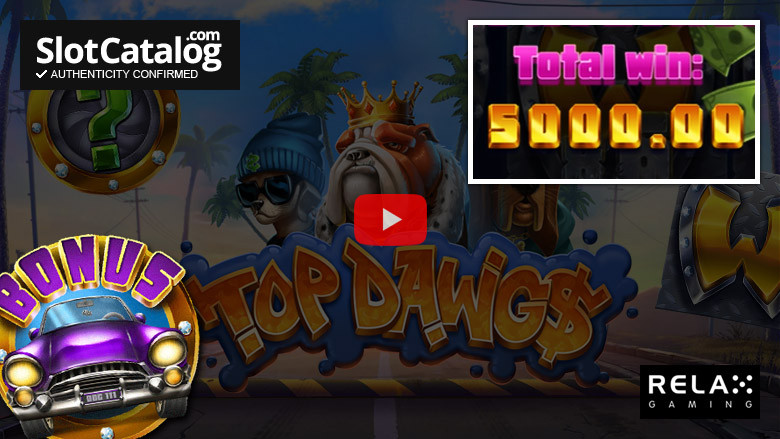 Слот Top Dawgs Big Win, январь 2022 г.