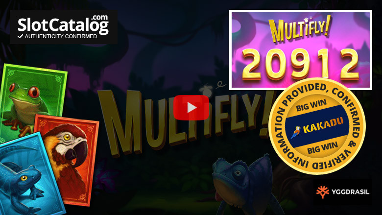 Слот MultiFly Big Win Май 2023