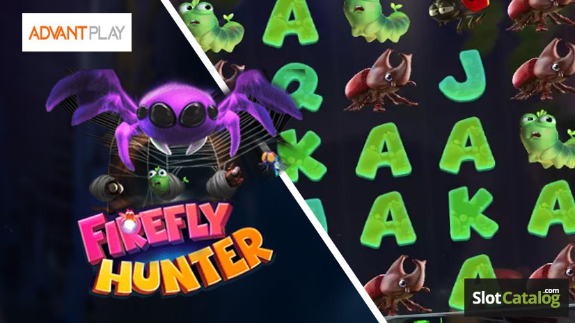 Firefly Hunter Firefly Hunter