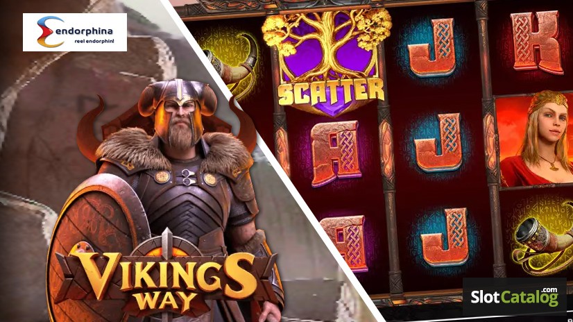 Vikings Way Vikings Way