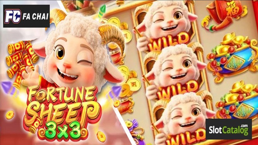 Fortune Sheep
