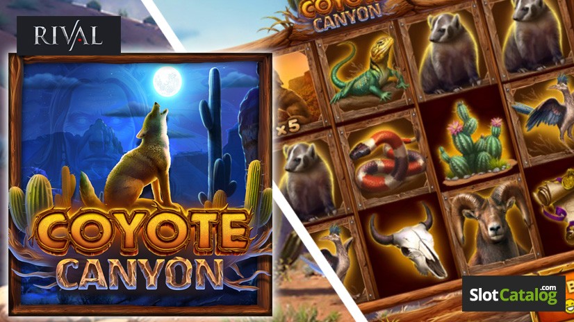 Coyote Canyon Rival Gaming