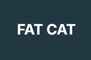 FAT CAT FAT CAT