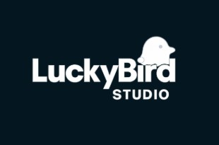 Lucky Bird Studio Lucky Bird Studio