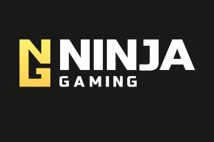 Ninja Gaming