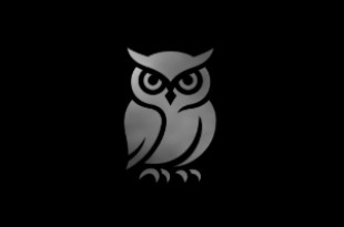 Owl Owl