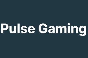 Pulse Gaming Pulse Gaming