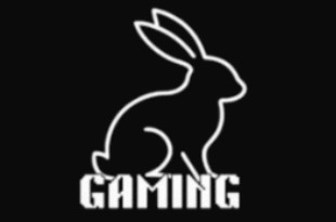 Rabbit Gaming Rabbit Gaming