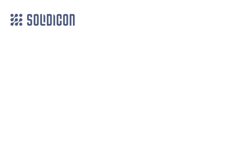 Solidicon