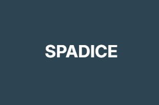SPADICE