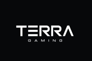 Terra Gaming