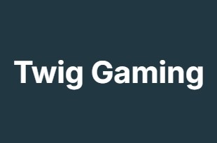 Twig Gaming Twig Gaming