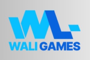 Wali Games Wali Games