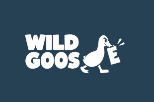 Wild Goose