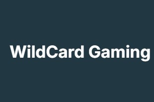 WildCard Gaming WildCard Gaming