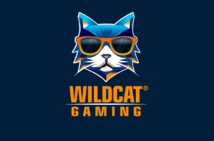 Wildcat Gaming Wildcat Gaming