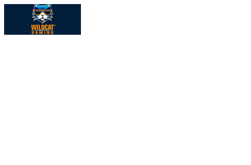 Wildcat Gaming