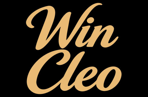 Wincleo Wincleo logo