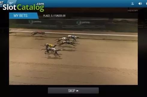 Скрин4. Instant Virtual Greyhounds слот