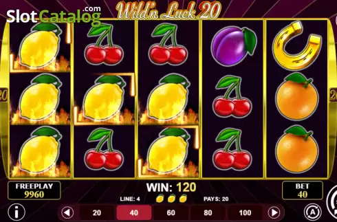 Скрин3. Wild'n Luck 20 слот