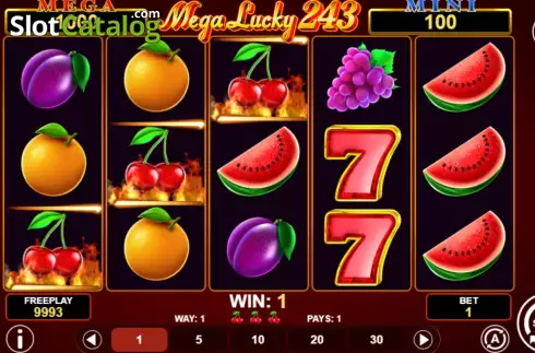 Скрин3. Mega Lucky 243 слот