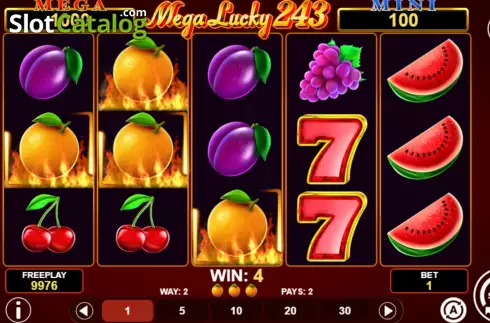 Скрин4. Mega Lucky 243 слот