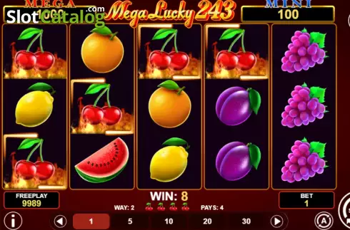 Скрин5. Mega Lucky 243 слот