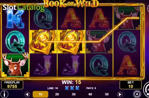 Скрин4. Book of Wild слот