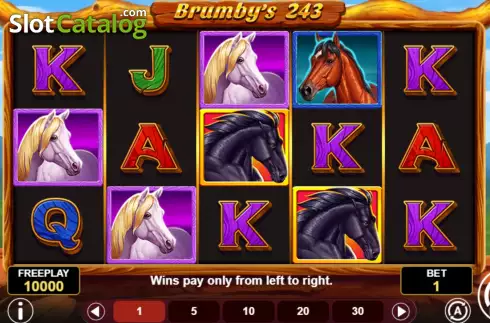 Скрин2. Brumby's 243 слот