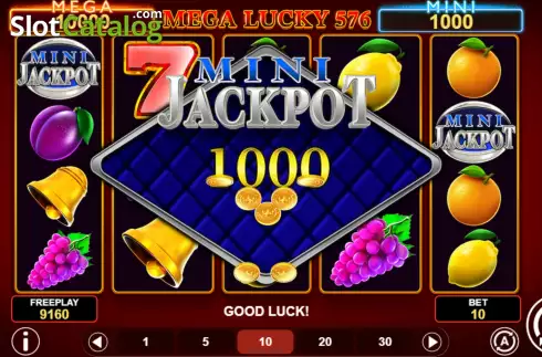 Скрин8. Mega Lucky 576 слот