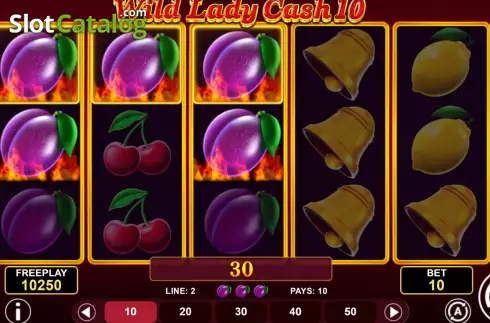Скрин4. Wild Lady Cash 10 слот