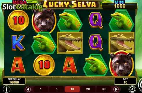 Скрин2. Lucky Selva Hold & Win слот
