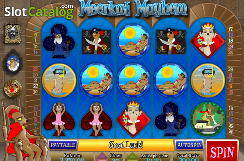 Скрин5. Meerkat Mayhem слот