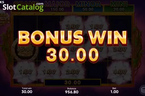 Скрин9. Tiger Jungle Hold and Win слот