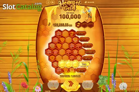 Скрин4. Honey of Gold слот