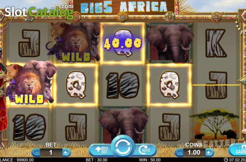 Скрин5. Big 5 Africa слот