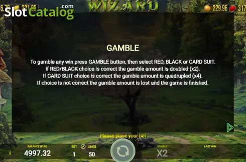 Скрин7. Wizard (AGT Software) слот