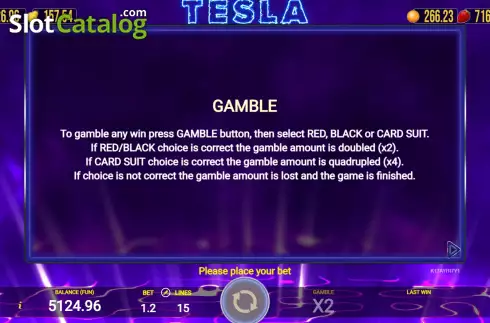 Скрин7. Tesla (AGT Software) слот