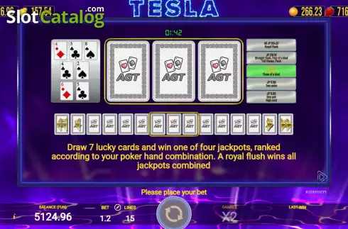 Скрин8. Tesla (AGT Software) слот