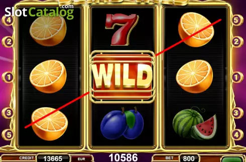 Скрин3. Blind Wild слот