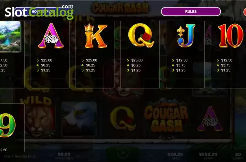 Скрин8. Cougar Cash слот