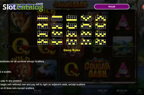Скрин9. Cougar Cash слот