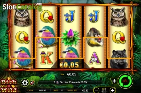 Скрин4. Rich n Wild слот