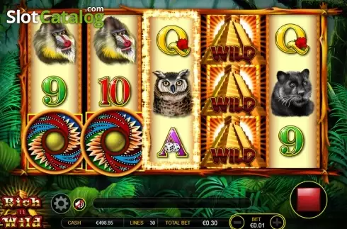 Скрин5. Rich n Wild слот